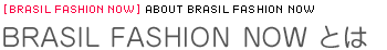 BRASIL FASHION NOW Ƃ